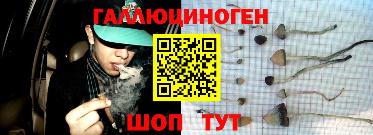 Псилоцибиновые грибы мицелий  Вход с VPN  Галлюциногенные грибы мицелий  Балтийск 